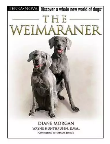 The Weimaraner (Terra-Nova) - Hardcover By Morgan, Diane - GOOD