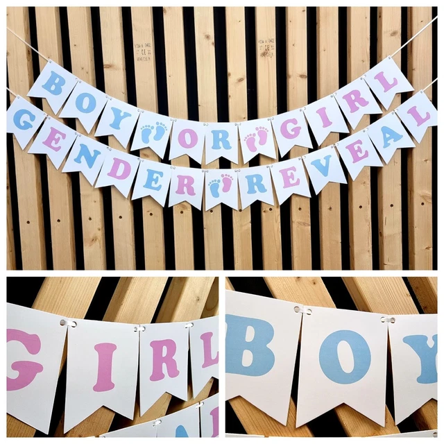 Gender Reveal Personalised Party Decoration Girl boy Bunting banner he she