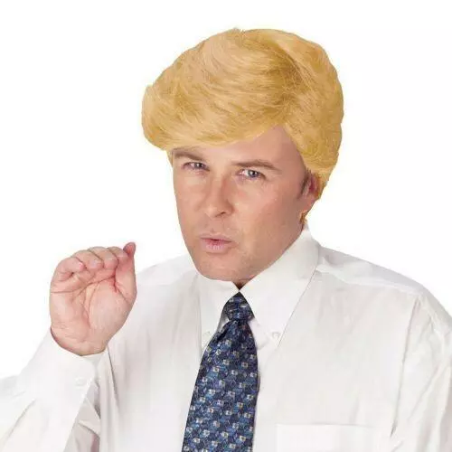 Fun World Men's Comb Over Candidate Wig, Trumplike Hair~Halloween Dress Up