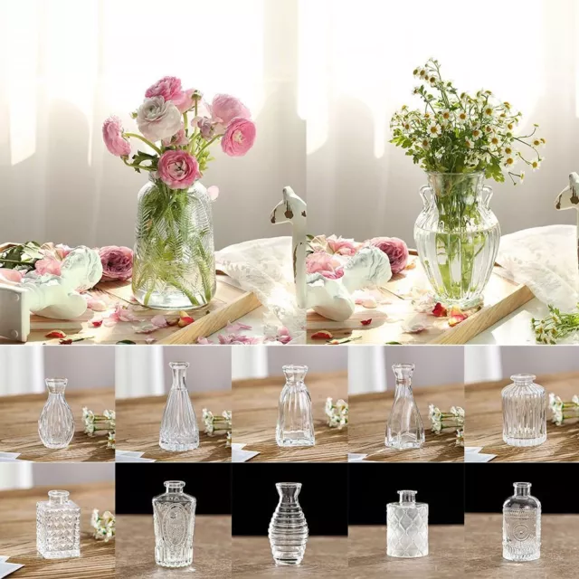 Supplies Transparent Glass Vase Flower Vase Hydroponic Plant Vase Embossed