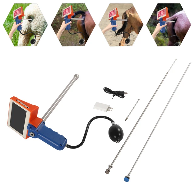 Artificial Visual Insemination Gun Kit Fits Cows Cattle w/ Adjustable HD Screen!