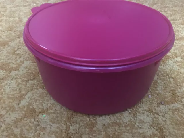 https://www.picclickimg.com/BbQAAOSwlsVelT7l/Tupperware-NEW-Giant-Canister-Container-VINEYARD-42-Cups.webp