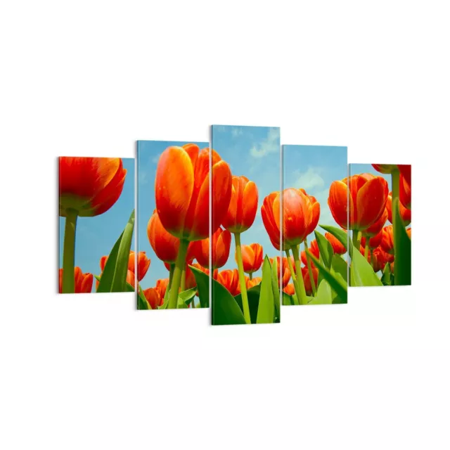 Wandbilder 160x85cm 5 tlg Leinwandbild Tulpe Blume blauer Himmel XXL Bilder