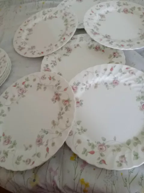 Wedgewood Rosehip Pattern 6 11 Inch Dinner Plates