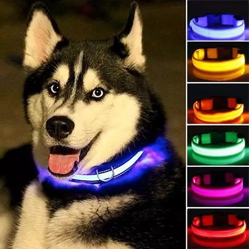 Leuchthalsband für Hunde LED blinkend leuchtend Halsband mit Akku Batterie bunt