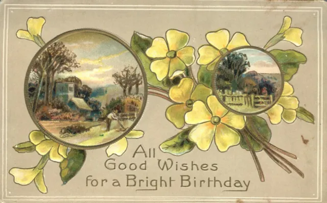 Good Wishes Bright Birthday Embossed Flowers & Rural Scene Insets 1911 Postcard