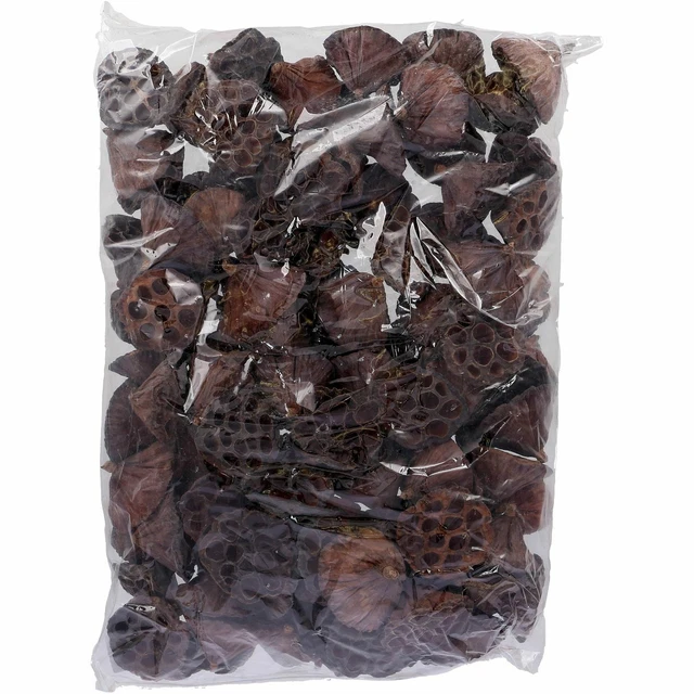 Pistón de loto grande - 100 piezas bolsa - natural