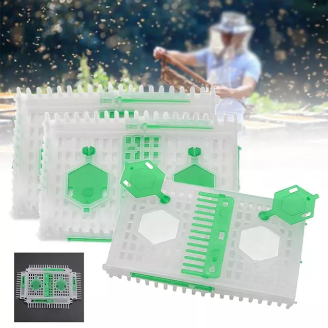 Práctica jaula de agujas de abeja reina de plástico para apicultores
