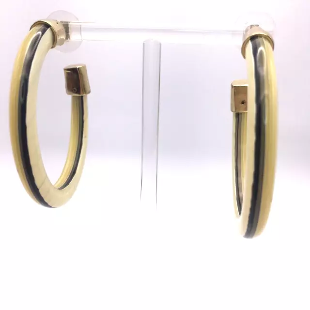Vintage Multicolor Striped Lucite Big Hoop Earrings Gold Tone Accents 70s 80s 2
