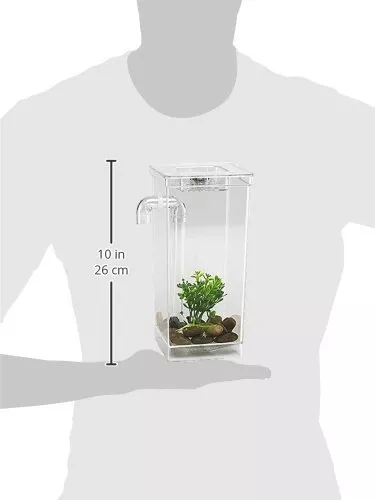 My Fun Fish Tank 4 3/4 x 6 x 10-Inch Aquatic Aquariums of the Sea 3