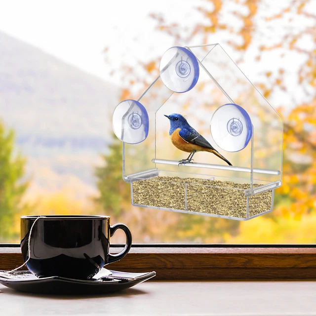 Vogelfutterspender Käfig Hängender Klarglastisch mit Saugnapf, Hotel,
