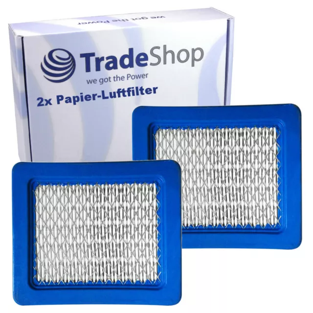 2x Papier-Luft-Filter für Stiga Multiclip 50 Briggs&Stratton Serie 625 Serie 650