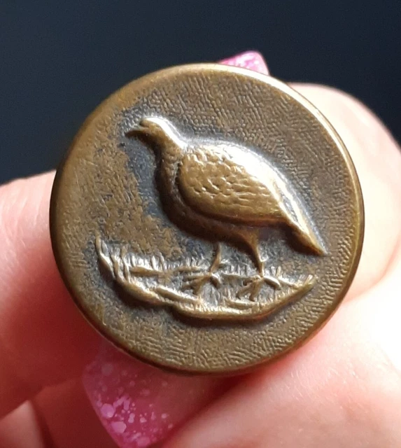 D10110 ancien bouton de vénerie chasse tête de sanglier 24 mm