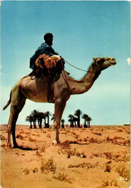 CPM AK MOROCCO - Scenes & Types - In View of the Oasis (329158)