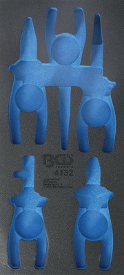 BGS MODULO VUOTO PER BGS4025 