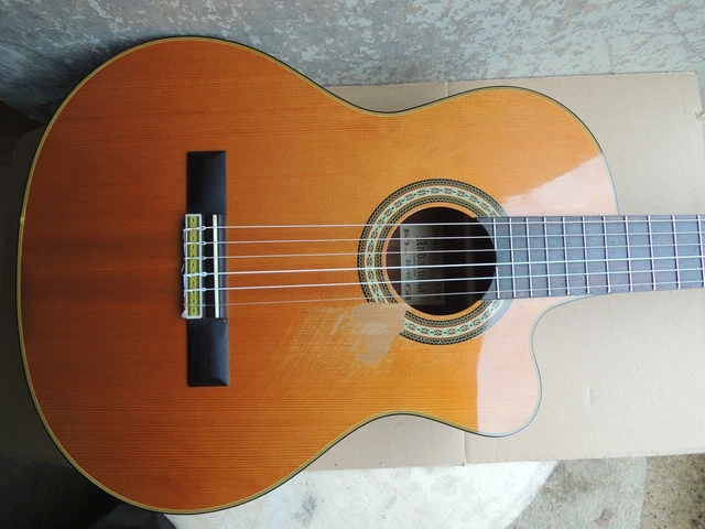 Andalusia AG-6 G Guitare classique electro acoustique pan coupé Style Espagnole