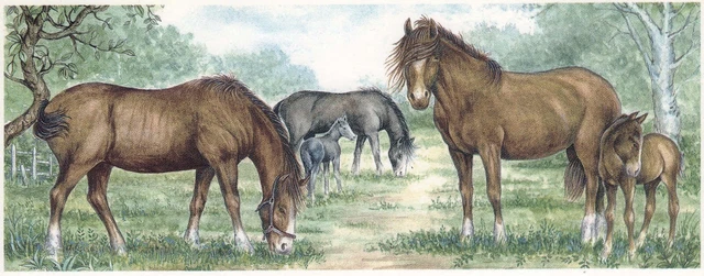 Calcomanía de cerámica tobogán marrón gris caballo 1 pieza 8-1/4"" X 3-1/4"" Bx