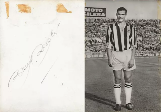 Vera Fotografia Bruno Nicole Juventus Calcio Autografo  Originale 1962