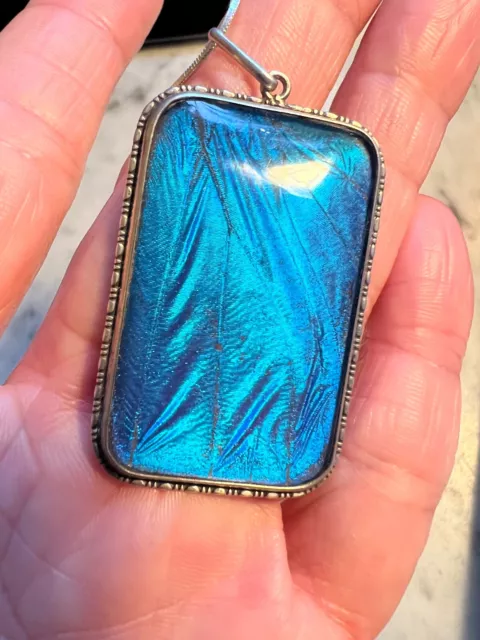 Stunning large blue iridescent butterfly wing pendant necklace sterling silver