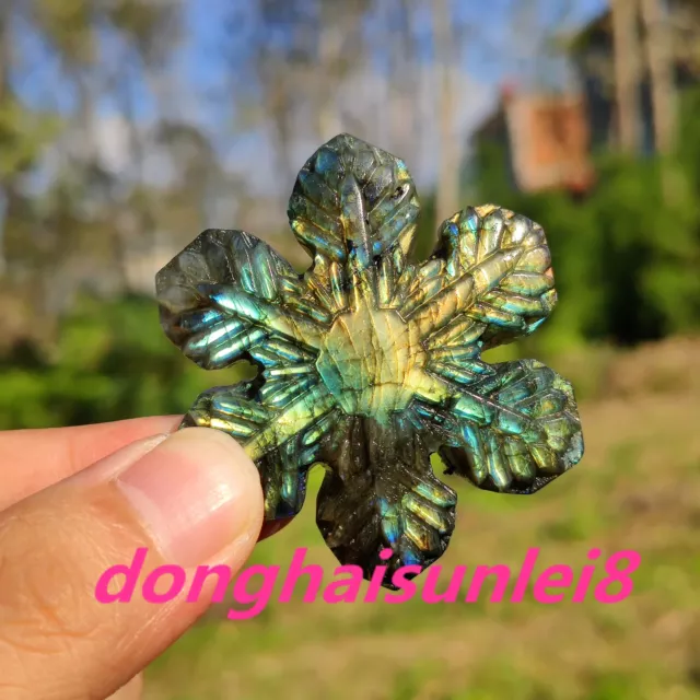 1pc Natural Labradorite snowflake Pendant Carved Quartz Crystal Skull Gift Reiki
