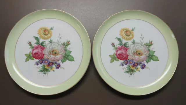 2 Vintage AK/Alboth& Kaiser WEST GERMANY Porcelain China 11" FLORAL PLATES Green