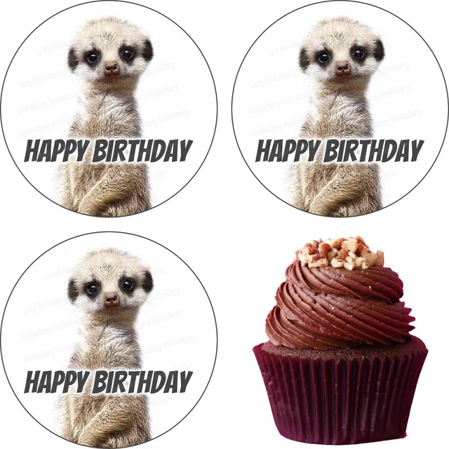 55 Stück Essbare Tortendeko – Schmetterlinge & Blumen Aus Reispapier, Bunt & Vegan