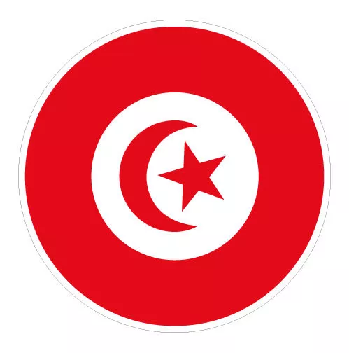 6 x Autocollant 5cm drapeau rond TUNISIE sticker valise vélo voiture