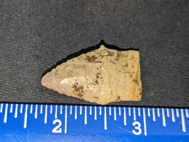 Authentic Arkansas Scottsbluff? Arrowhead 1 3/8 inches, Ground Base And Edges