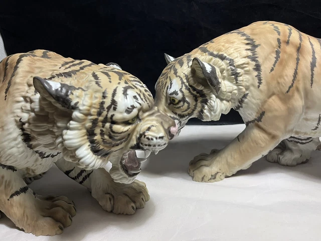 Tigres C. Martinu