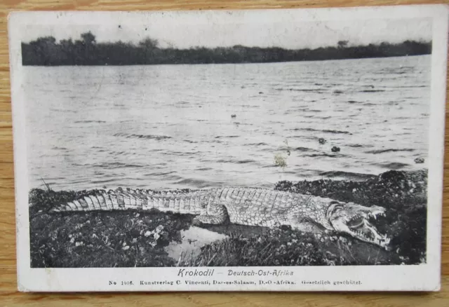 Ansichtskarte DOA Deutsch Ostafrika Dar es Salam 1914 (11
