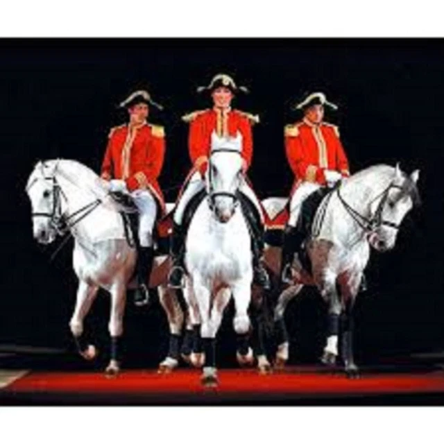 Lipizzaner Stallions Dressage Show Dress Uniform Tunic And Cap