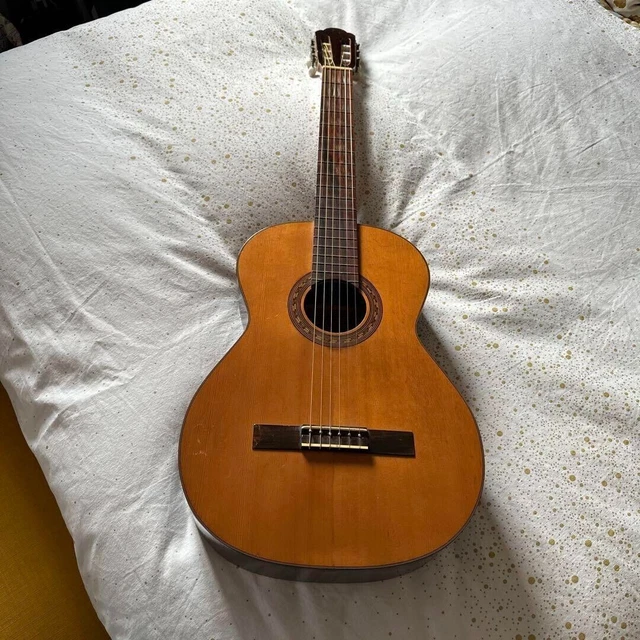 Suzuki shop violin guitar