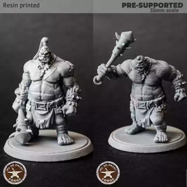 1 Head Ogre Miniatures Tabletop Dungeons and Dragons Wargaming Mini