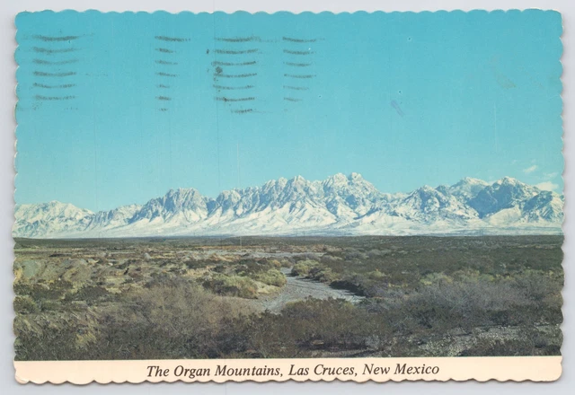 Las Cruces New Mexico~Panorama Organ Mountains~Continental Postcard
