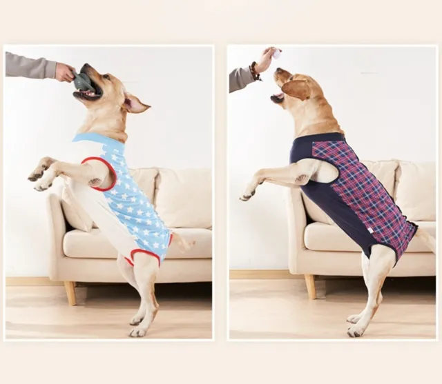 Professioneller Hundebody Nach Op Erholungsanzug für Hunde Hunde Schlafanzug