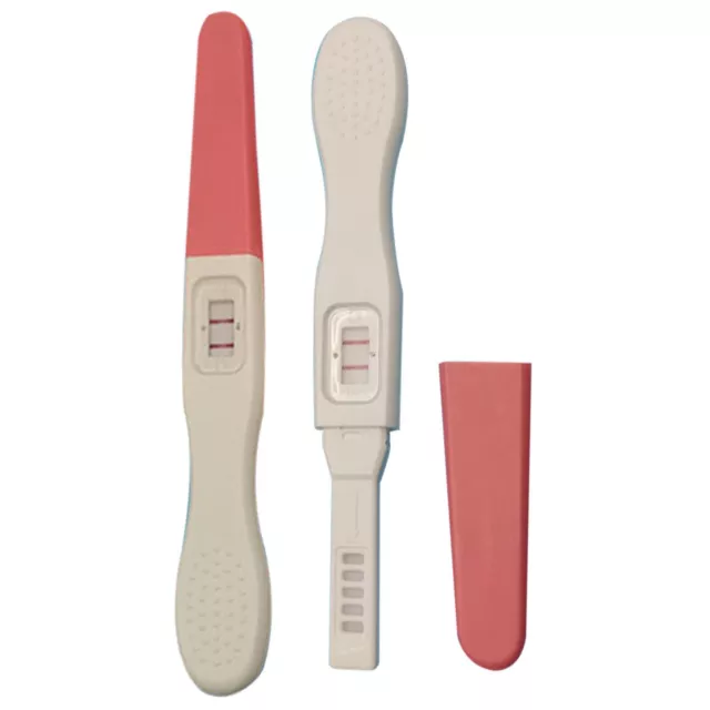 Fake Test Positive Positive Test Practical Joke Pregancy Test Kit