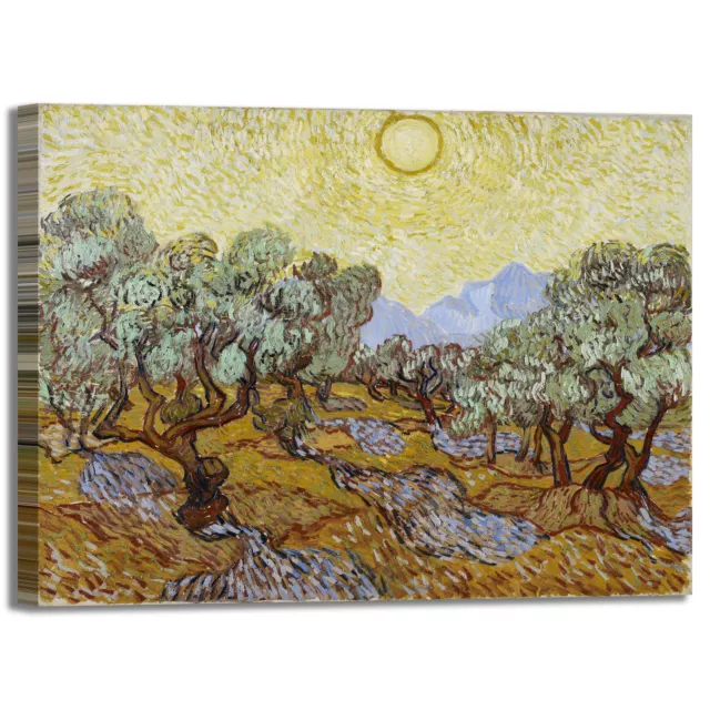 Van Gogh alberi di olive design quadro stampa tela dipinto telaio arredo casa