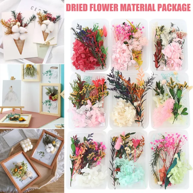 Real Pressed Dried Flower Candle Making DIY for Resin Jewelry Making Craft  Decor