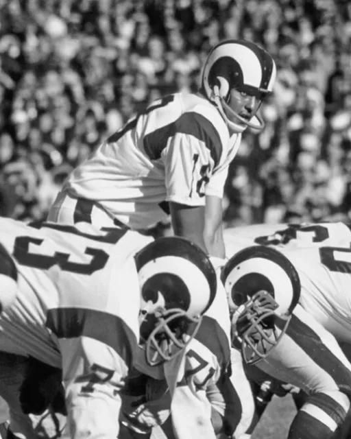Los Angeles Rams ROMAN GABRIEL 8x10 Photo NFL Football Print Poster