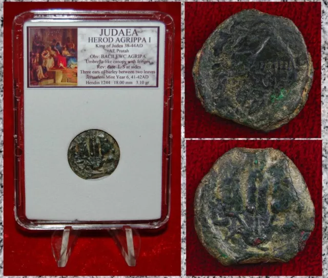 Ancient Coin JUDAEA Prutah HEROD AGRIPPA I Appointed By Caligula Jerusalem Mint