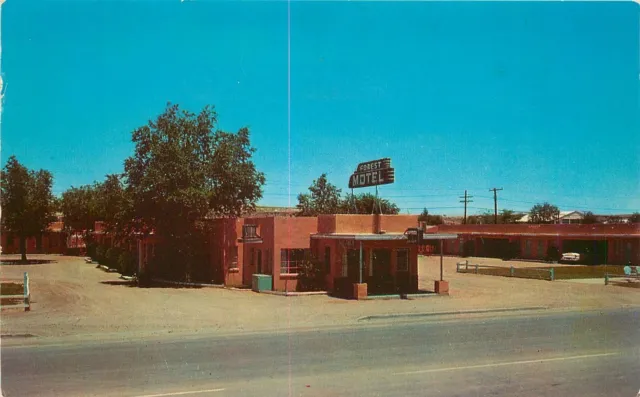 Postcard 1950s Holbrook Arizona Route 66 Forest Motel Phoenix Specialty 22-12365