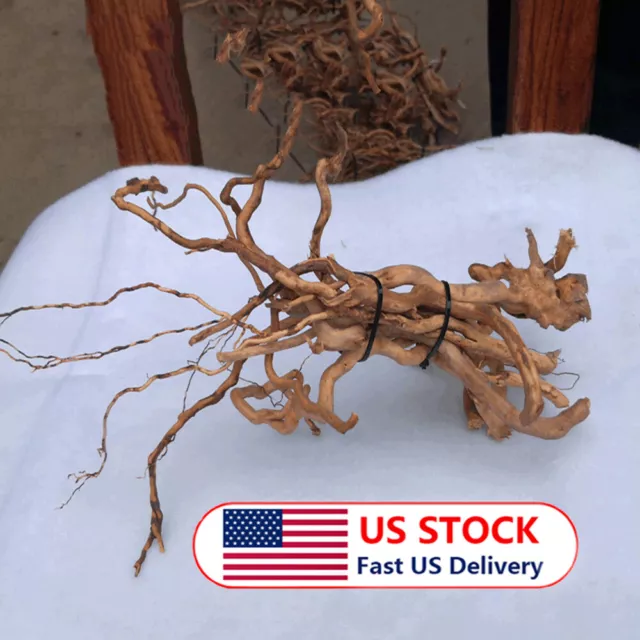 Natural Driftwood Aquarium Root Trunk Tree Fish Tank Landscape Plant Home Decor