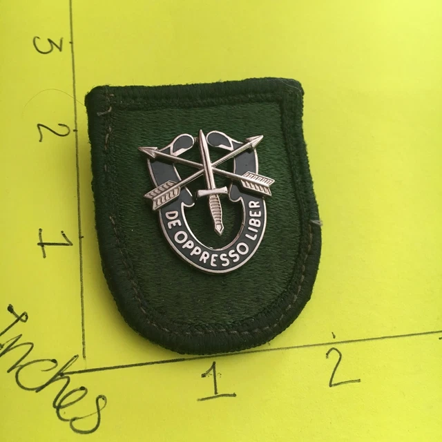 US ARMY 10TH SPECIAL FORCES GROUP BERET FLASH DI CREST S 38 HM 04 