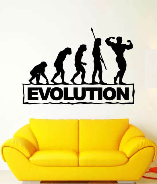 Wall Decal Evolution Progress Darwin Funny Human Athlete Vinyl Stickers (ed156)