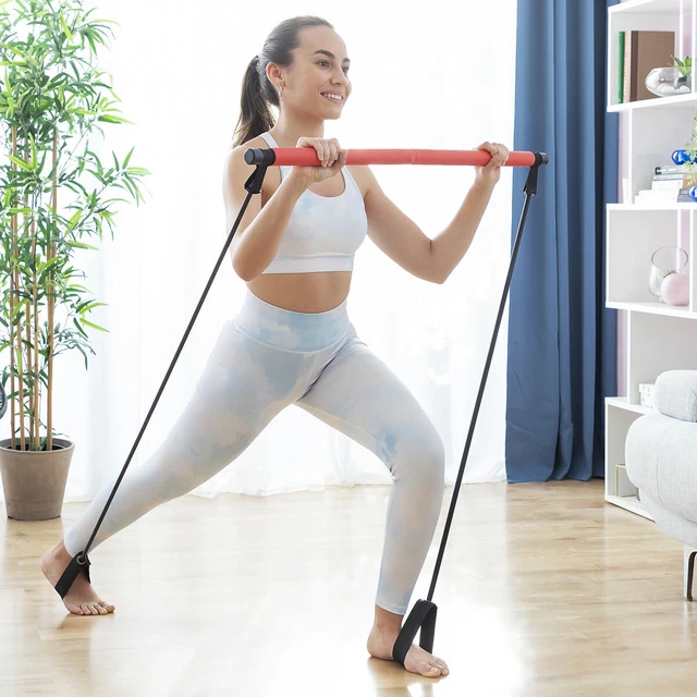 BARRE DE FITNESS avec Élastiques et Guide d'Exercice Resibar ...