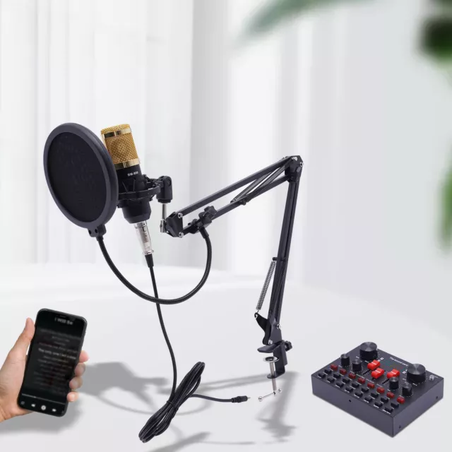 Milisten 4 Sets Mini Microphone, Karaoke Tiny Microphone, Portable Asmr  Microphone with Clip Stand and Wind Muffs, Universal 3.5mm Connector for
