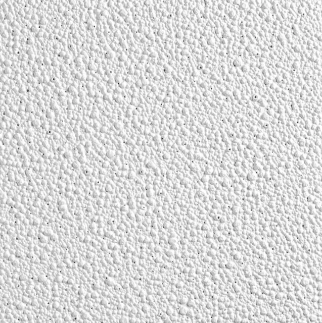 Armstrong Ceilings Pebble 2989 48-in x 24-in 10-Pack Drop Ceiling Tile 15/16-in
