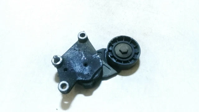 419484 Tendeur de Courroie Set  for Ford Focus 2005 FRF936057-29