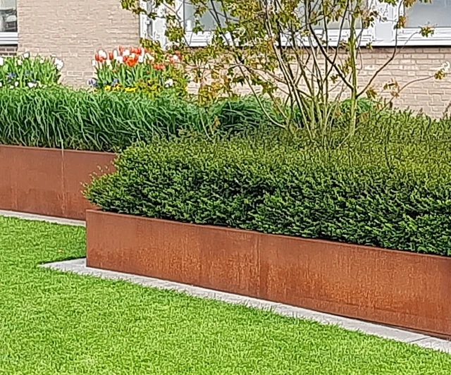 RASENKANTE EDELROST MÄHKANTE Beeteinfassung Stahl 1,5 mm rostig wie