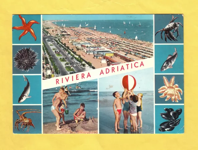 Cartolina Riviera Adriatica pesci tipici del Mediterraneo vedute viaggiata